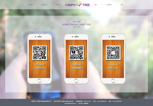 恭賀由硅峰網(wǎng)絡(luò)設(shè)計開發(fā)的 品牌形象營銷官網(wǎng)正式上線運營 硅峰動態(tài) 資訊中心 硅峰網(wǎng)絡(luò) 網(wǎng)站設(shè)計 軟件開發(fā) 微信建設(shè),西安最專業(yè)的企業(yè)信息化建設(shè)網(wǎng)絡(luò)公司