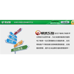 專業(yè)做營(yíng)銷型網(wǎng)站,【濟(jì)南營(yíng)銷型網(wǎng)站】,極速互聯(lián)營(yíng)銷型網(wǎng)站建站專家(圖)_互聯(lián)網(wǎng)服務(wù)_第一槍